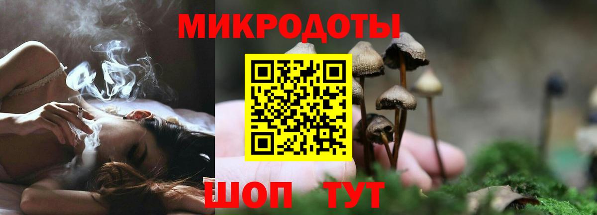 хочу   Псилоцибиновые грибы Psilocybe  Вход с VPN  Шумерля 