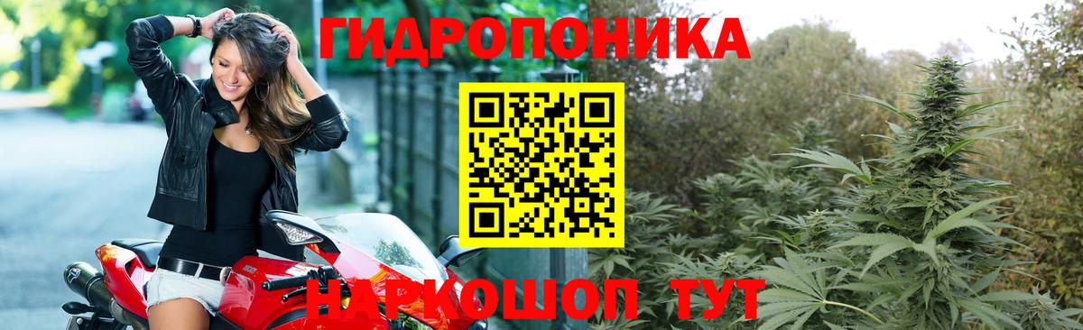 Шумерля  Бошки Шишки план  Канабис план  Вход с VPN  Марихуана план 